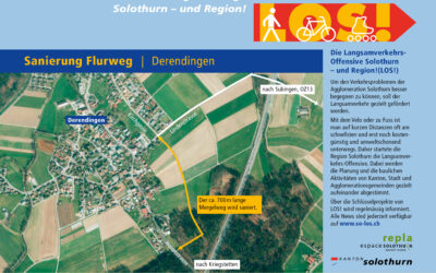 LOS! Infoplakat Nr. 14 Sanierung Flurweg Derendingen