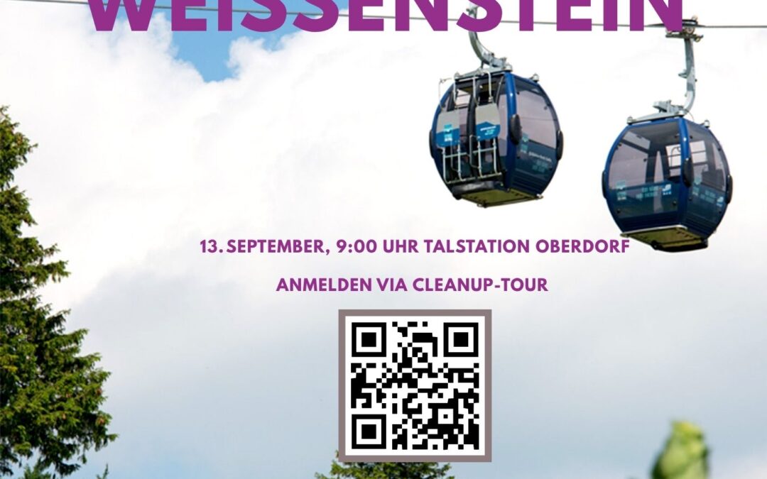 Cleanup Weissenstein