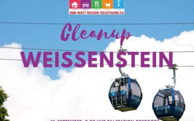 Cleanup Weissenstein